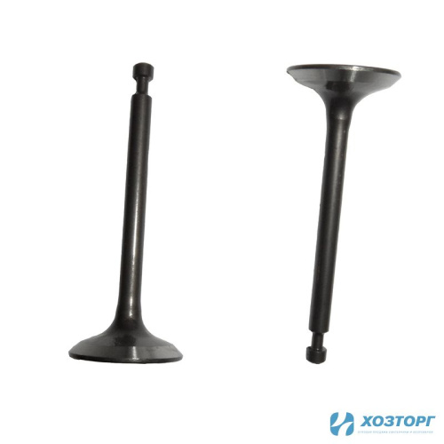 Комплект клапанов БГК-4318W