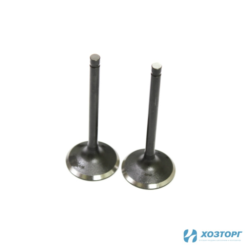 Клапан впуск (выпуск) БГК-51HW